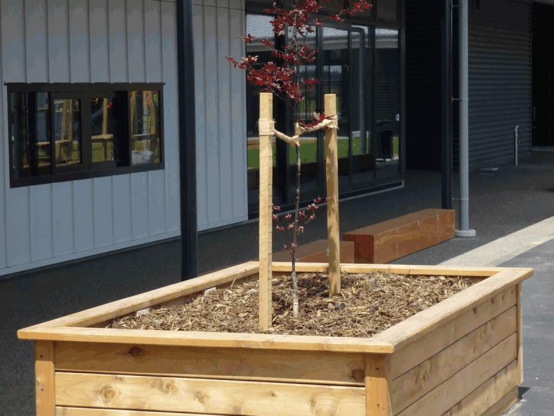 West Rolleston School Project