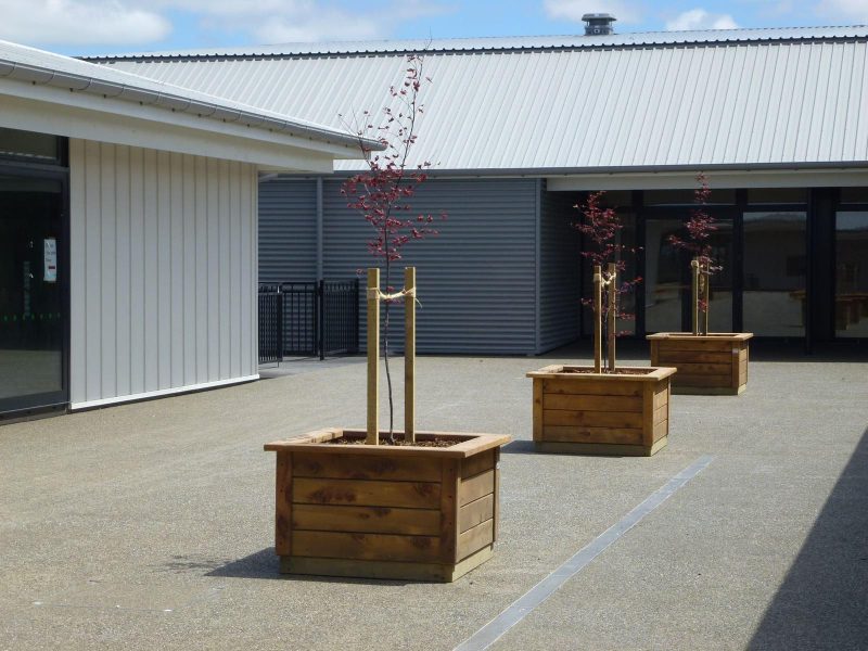 West Rolleston School Project