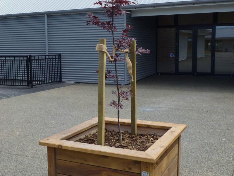 West Rolleston School Project