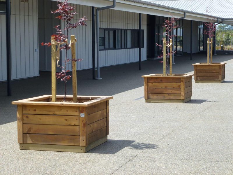 West Rolleston School Project