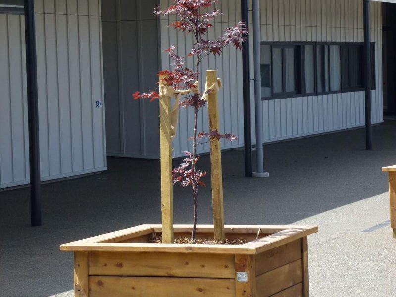 West Rolleston School Project