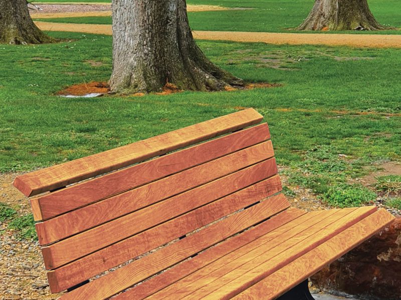 Milverton-Park--Kingsgrove-seats-&-Buddy-bench-with-playground-(2)